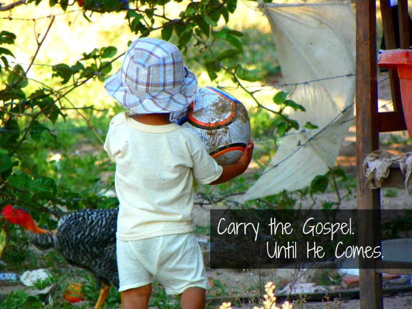 01BACK cover2014-09-04 01-AKBolivia 2014-VC 215