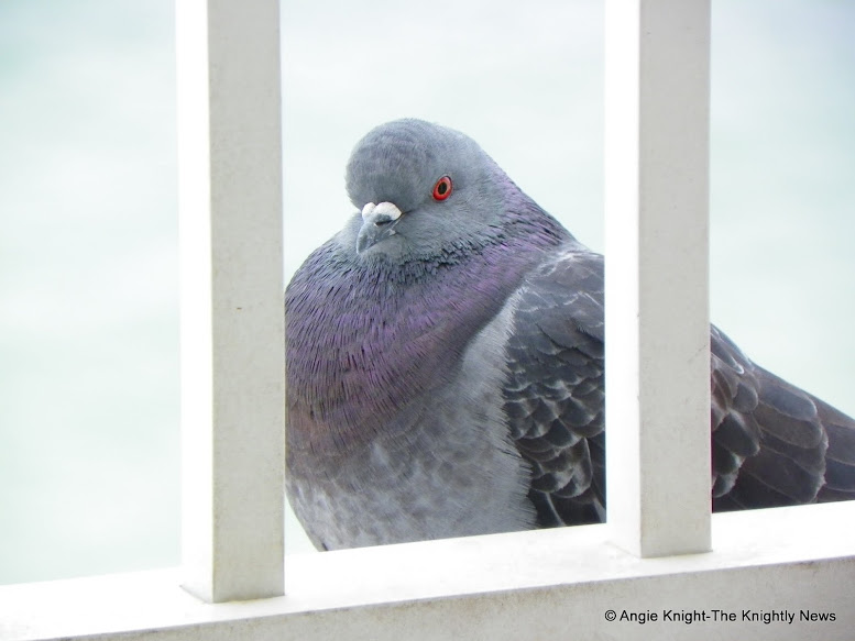 2012-02-26 mother daughter retreat feb 2012 008